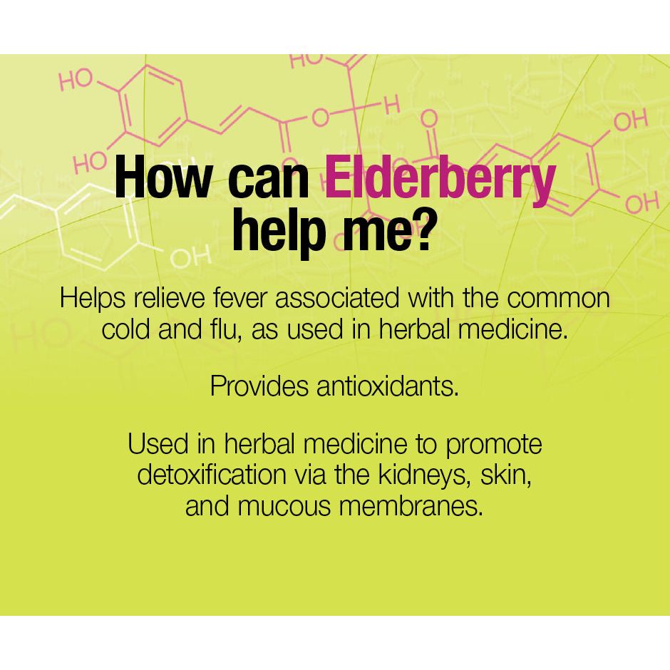 Black Elderberry Standardized Extract 100 mg