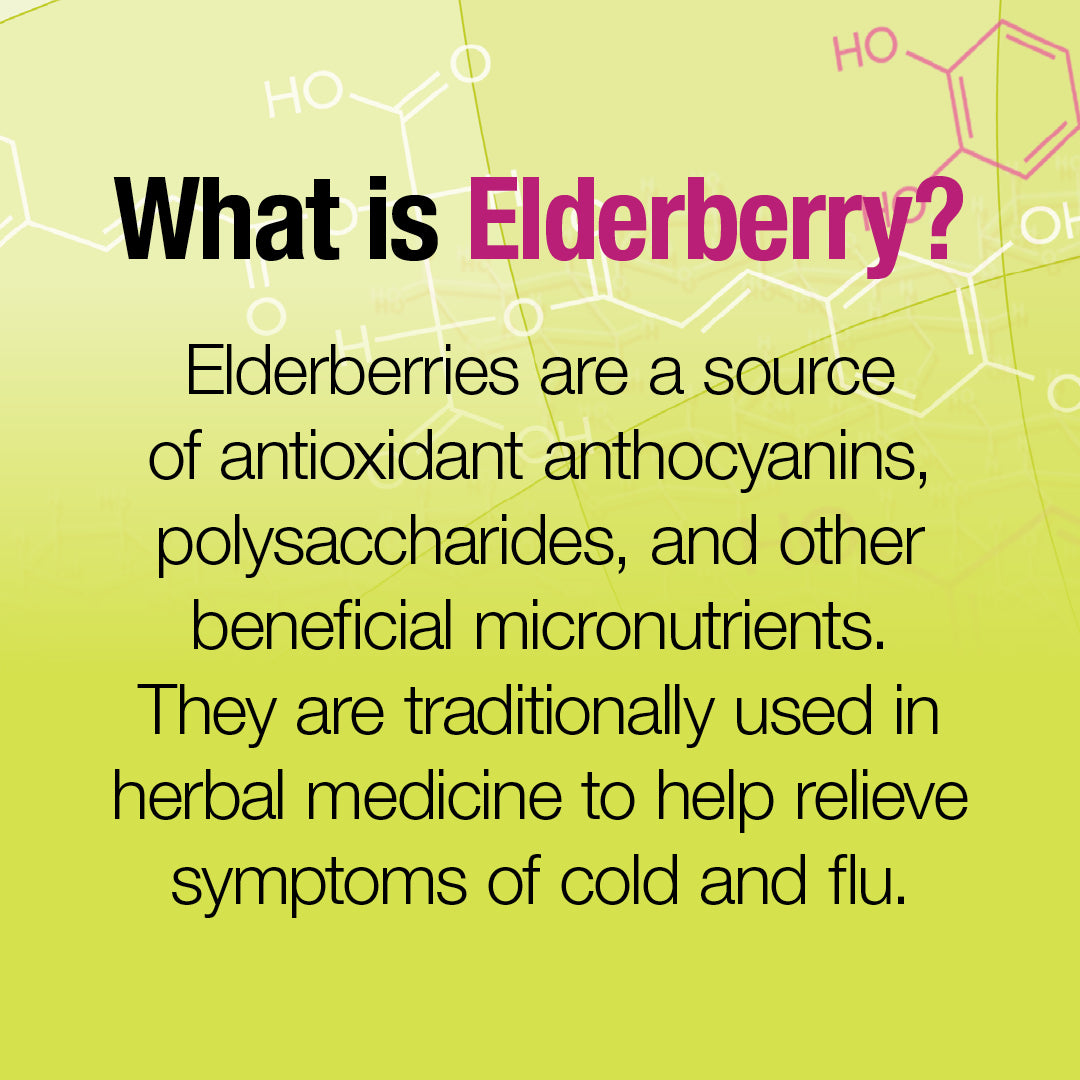 Black Elderberry Standardized Extract 100 mg