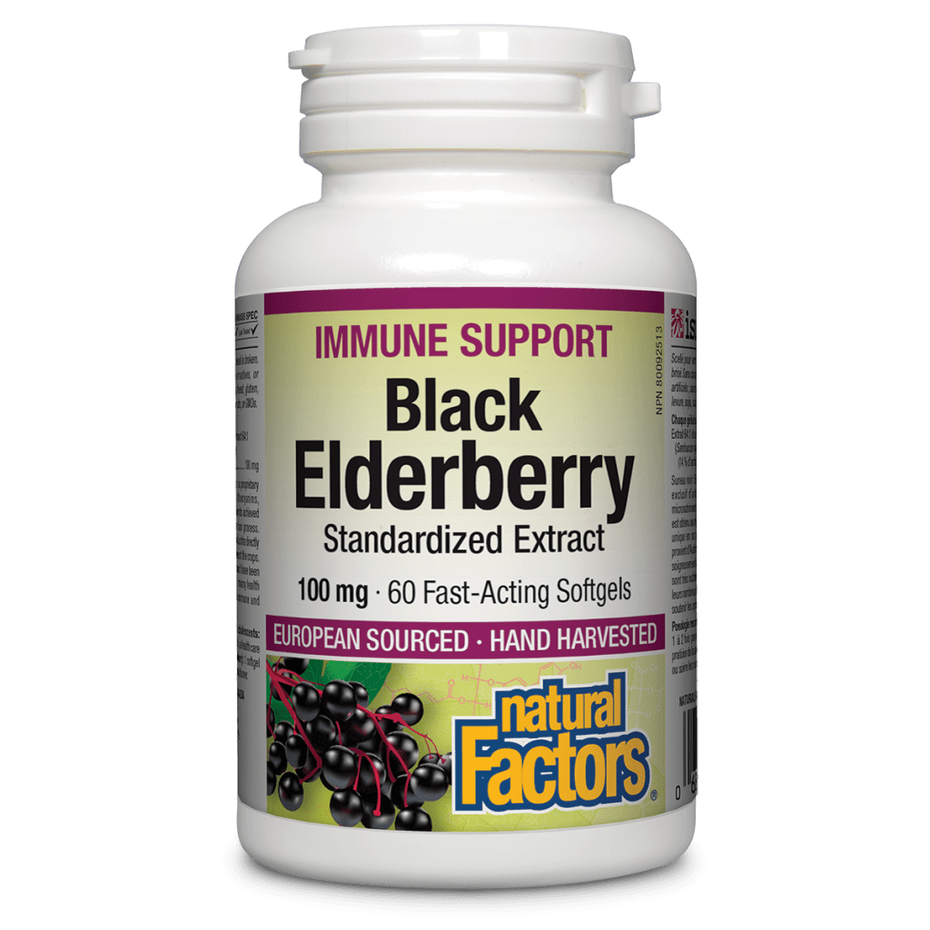 Black Elderberry Standardized Extract 100 mg