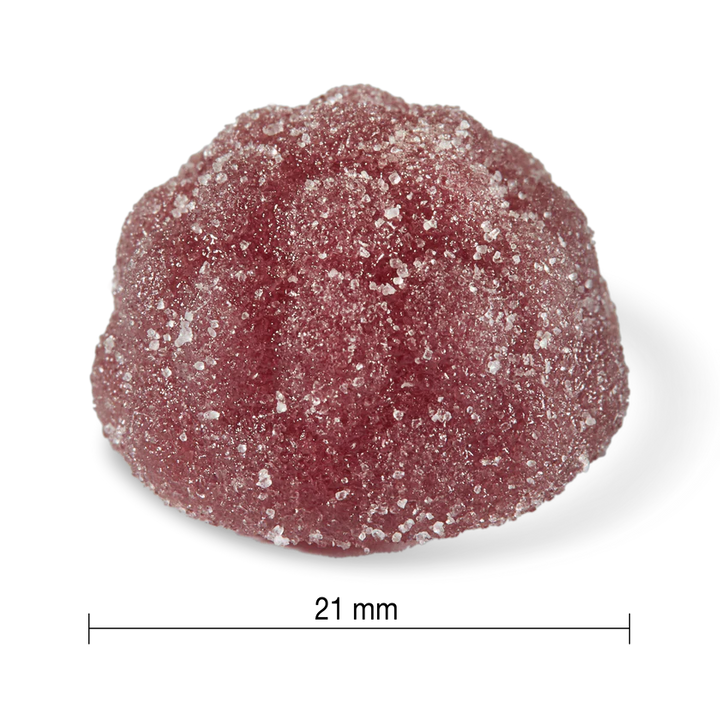 Jamieson Probiotic Immune Support Gummies Elderberry