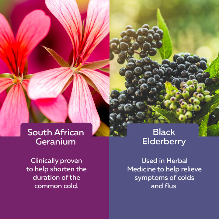 Nature's Way Elderberry Sambucus Cold & Flu Kids Gummies