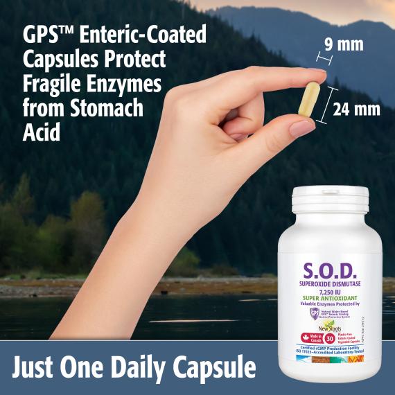 New Roots S.O.D. 7,250 IU