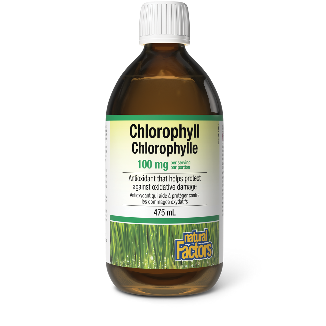 Natural Factors Chlorophylle 100 mg Liquid