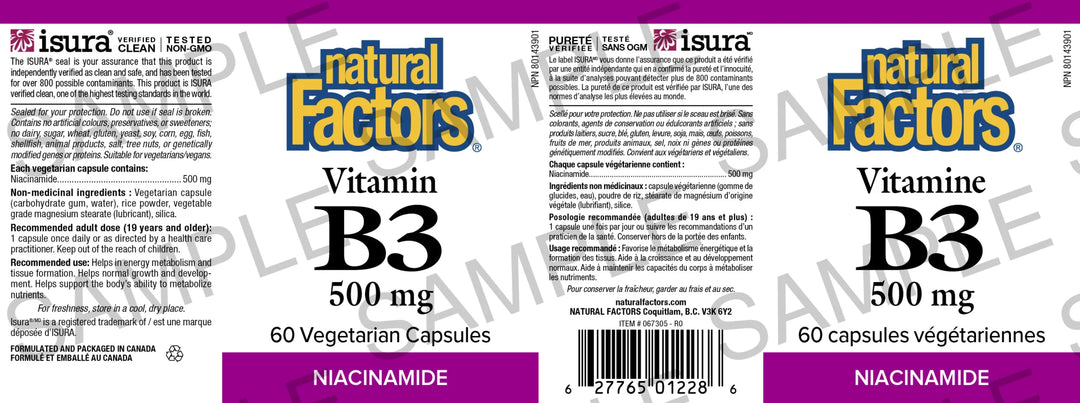 Natural Factors Vitamin B3 500 mg