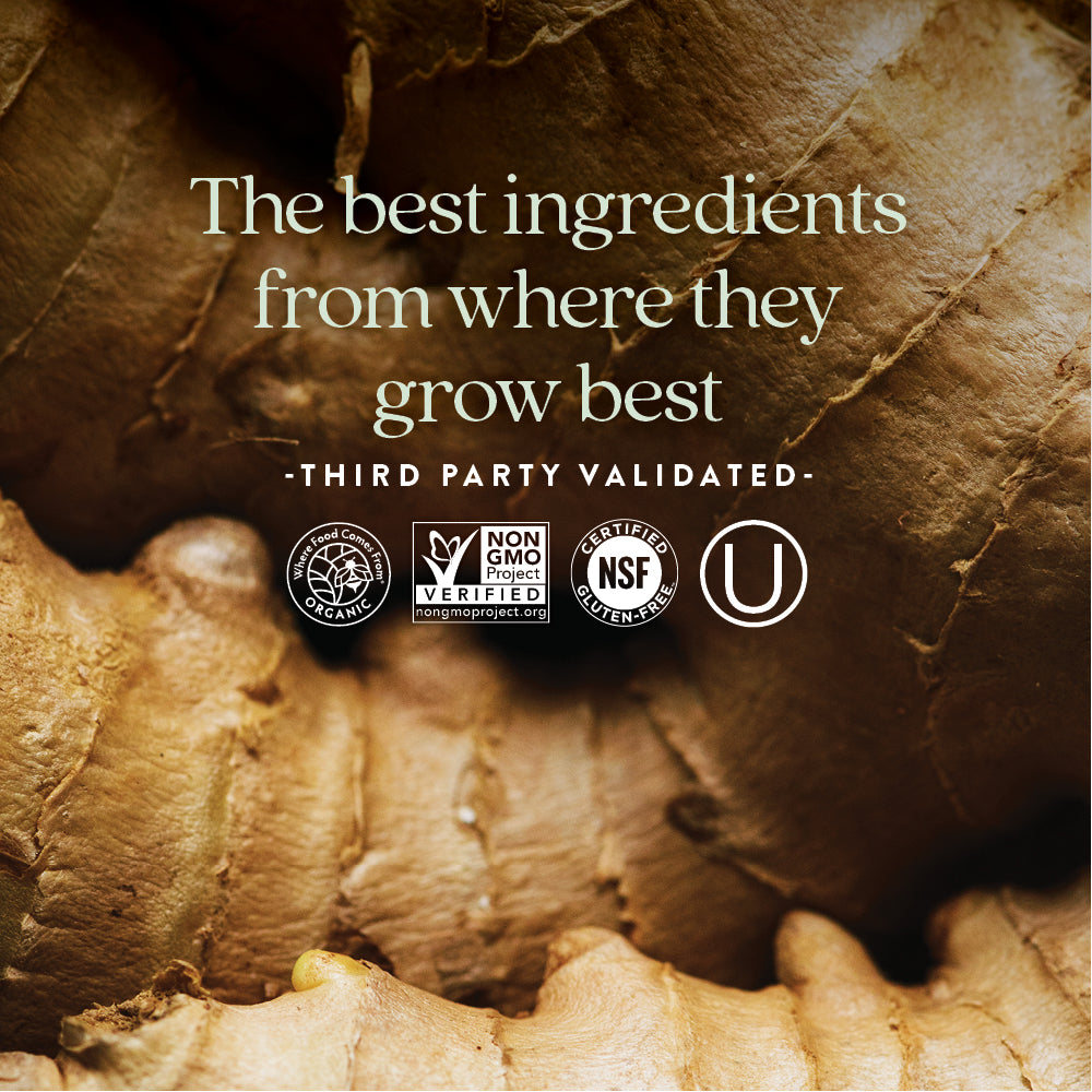 New Chapter® Fermented Coenzyme B Complex