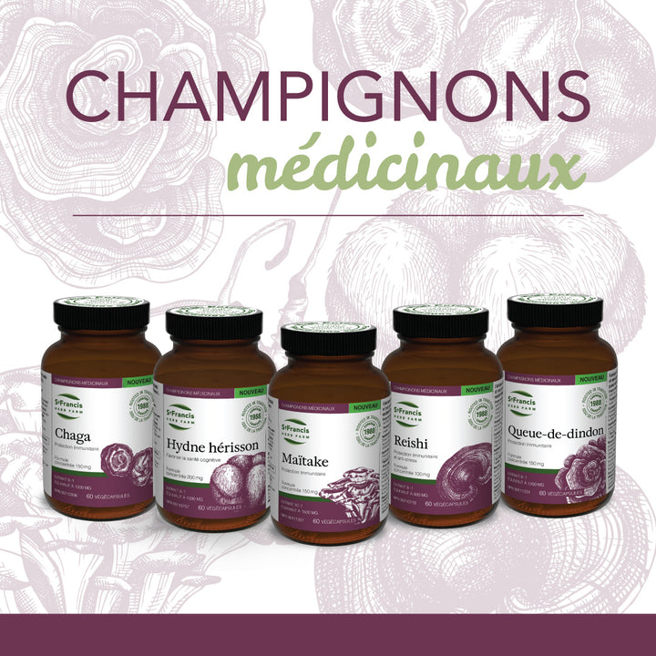 LIQUIDATION - St Francis Herb Farm Chaga Mushroom - FINAL SALE/NO RETURNS***