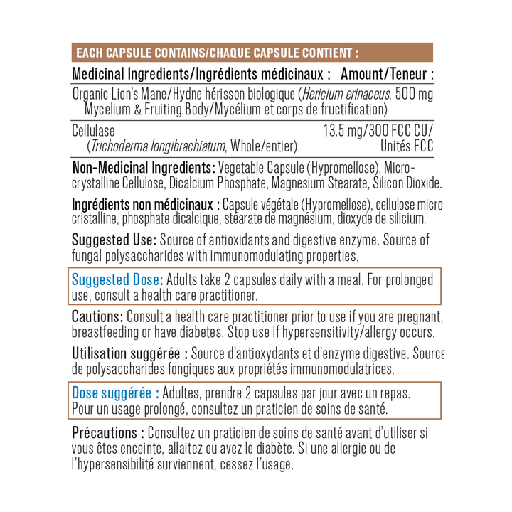Lion's Mane Mushrooms