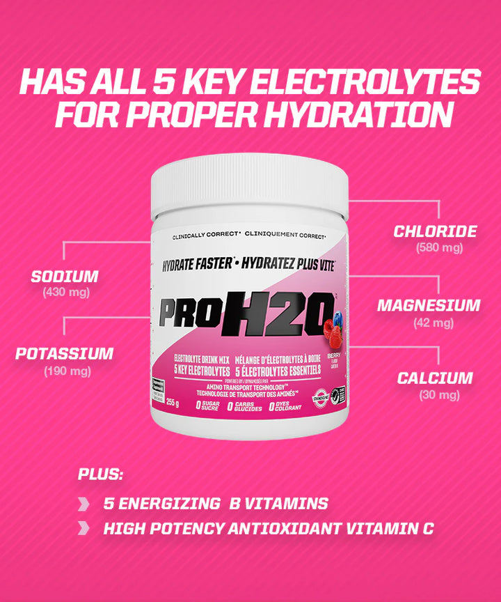 PVL PROH20, Hydrate Faster, Berry