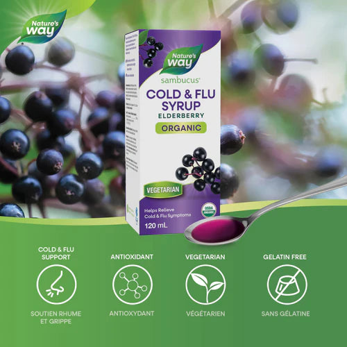 Sirop contre le rhume et la grippe à base de sureau biologique Nature's Way