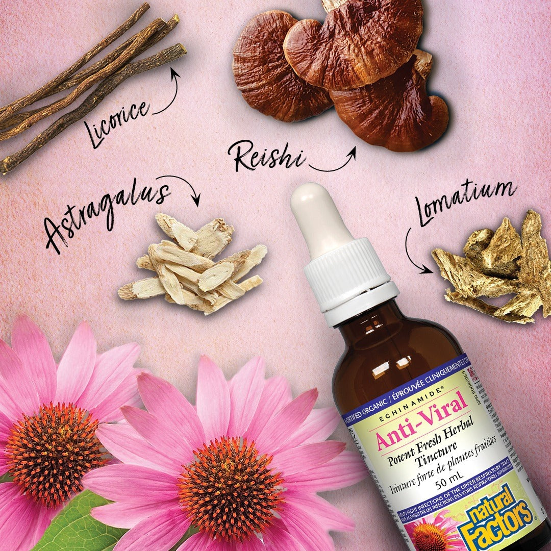 Anti-Viral Potent Fresh Herbal Tincture ECHINAMIDE®