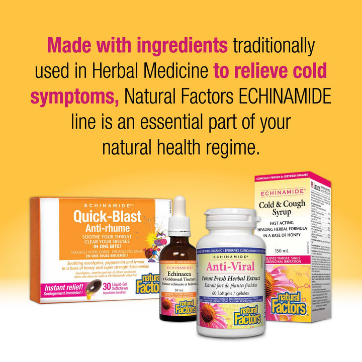 Anti-Cold Alcohol-Free Herb Tincture, Natural Berry ECHINAMIDE® Tincture