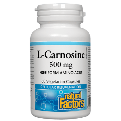 L-Carnosine   500 mg Vegetarian Capsules