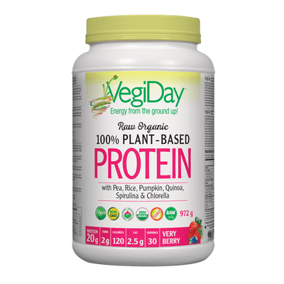 VegiDay Raw Organic 100% Plant-Based Protein wtih Pea, Rice, Pumpkin, Quinoa, Spirulina & Chlorella Very Berry Powder